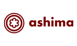 An image describing one of the visuals on the Enterprise AI Engineering and Custom Software page created by Technotery which is Ashima Capital.