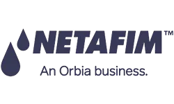 An image describing one of the visuals on the Enterprise AI Engineering and Custom Software page created by Technotery which is Netafirm.