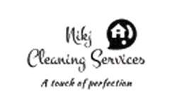 An image describing one of the visuals on the Enterprise AI Engineering and Custom Software page created by Technotery which is Nikj.