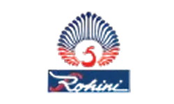 An image describing one of the visuals on the Enterprise AI Engineering and Custom Software page created by Technotery which is Rohini.