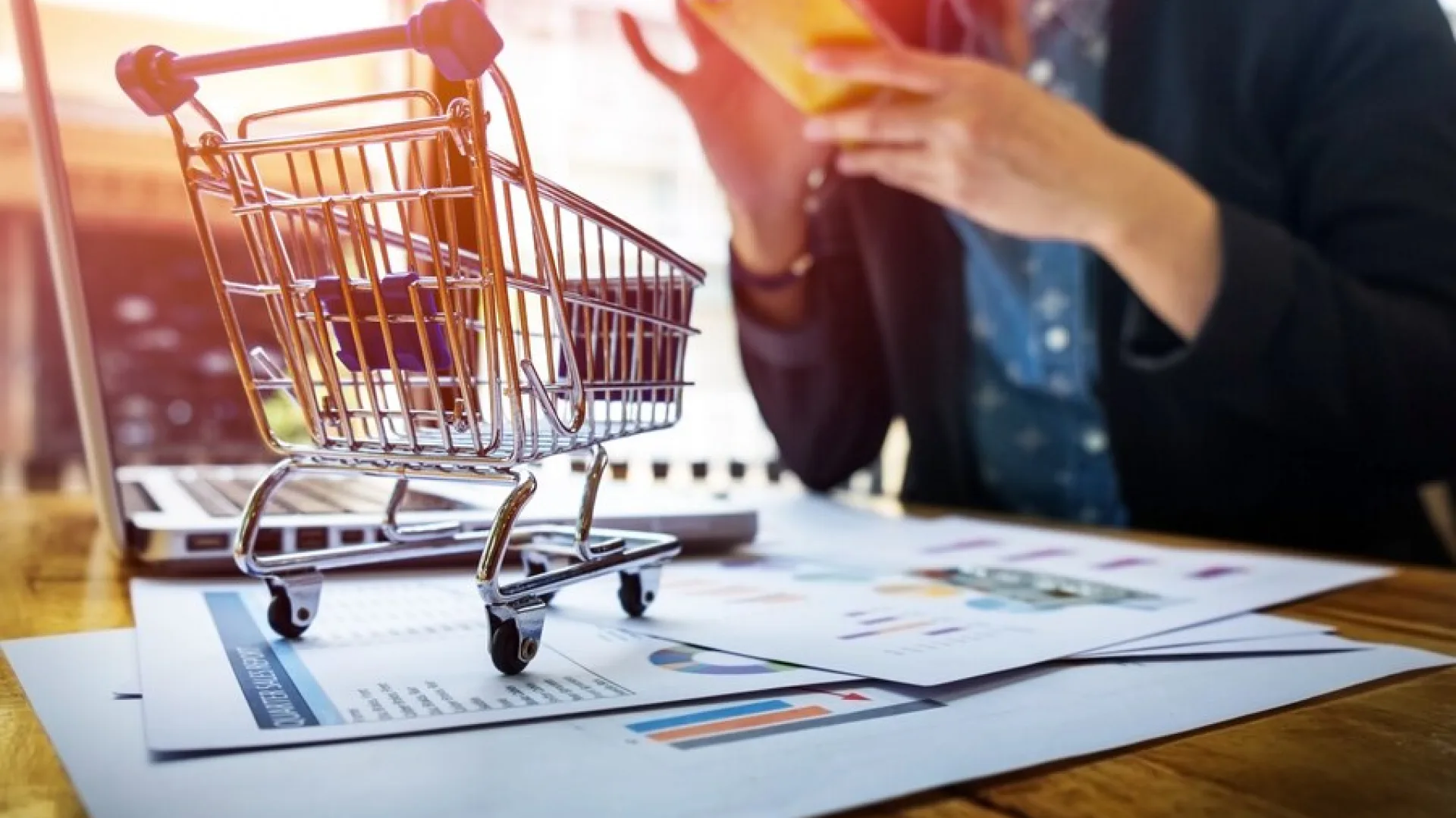 An image describing one of the visuals on the Enterprise AI Engineering and Custom Software page created by Technotery which is E-commerce.